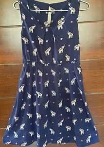 Knee Length Dress