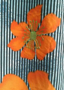 Orange#Black# Exclusive Saree