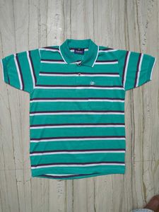Striped Green Polo Shirt