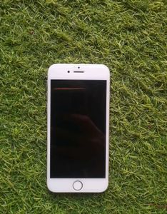 iPhone 6 (64GB) – Display/Touch Not Working