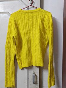 Imported Yellow Sweater Wool With Trendy Sleeve