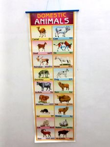 Learning Charts For Kids