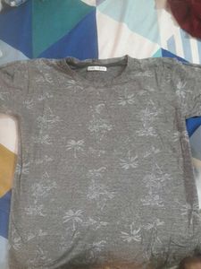Zara Grey Printed T-Shirt