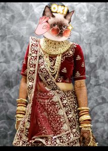 Red &amp; Gold Lengha