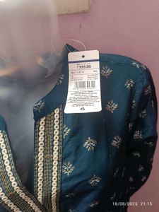 New unused xxl elephant  Teal Printed Kurta