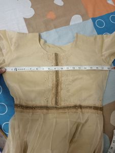 Party Wear Anarkali