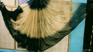 Elegant Saree
