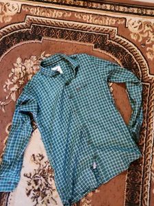 Green Lined Cotton Shirt