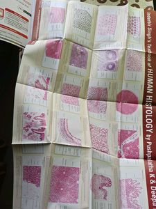 Human Histology Textbook IB singh