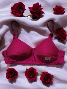 women everyday padded bra