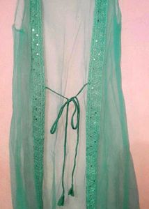 Elegant lite green 🦠 Embellished Lehenga Choli