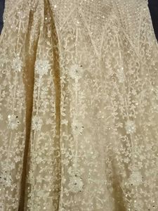 Gorgeous Lehenga Choli