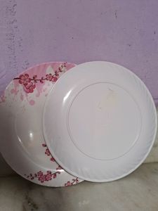 2 Beautiful melamine 🍽 Plates ..