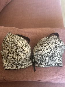 Leopard Print Padded Bra