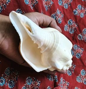 Puja Sankh