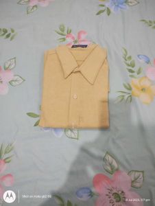 Combo Of 3 Shirt