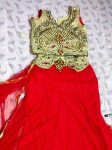 Embroidered lehenga and choli