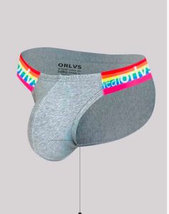 Stylish Men&#39;s Briefs