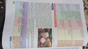 Physical Education Class 12 Book