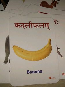 Vocabulary Flashcards