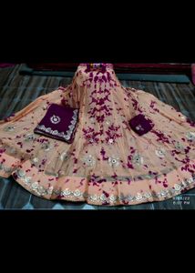 Jaipuri Choli