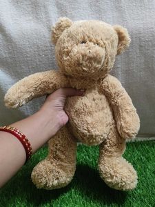 Teddy