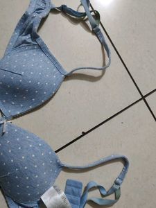 Cute Blue Polka Dot Bra