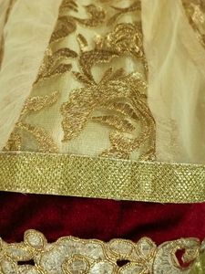 Lehenga With Dupatta Without Choli