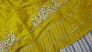 Saree with handwork Blouse