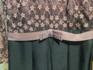 Party Wear Sober Gown