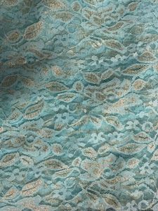 Elegant Blue Embellished Saree