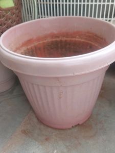 Pot With Soil And Composed