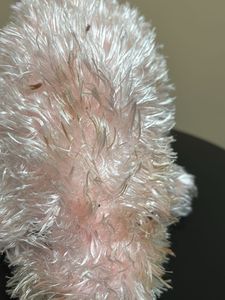 Soft toy -Pink- Teddy&amp;Fish
