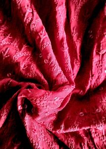 Red Embroidered Kurta Set with dupatta