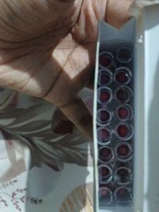 Just Herbs Lipstick Micro Mini Kit