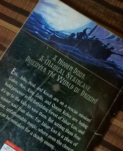 The Secrets Of Droon