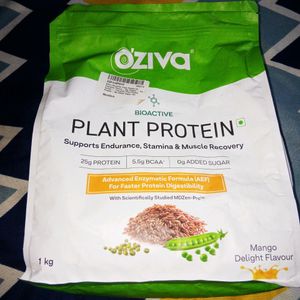 Plant Protein