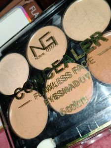 New Girls 6 Color Concealer
