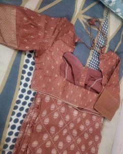 Elegant Brick color Saree