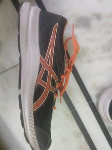 Asics Sport Shoes