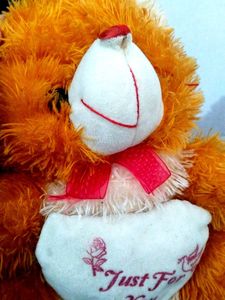 Cute Teddy Bear