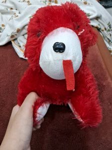 A Red Teddy Dog.