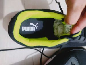 Puma Indoor Sports Shoes