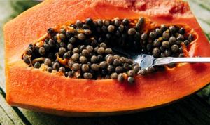 Fruits Seeds @ Low Price