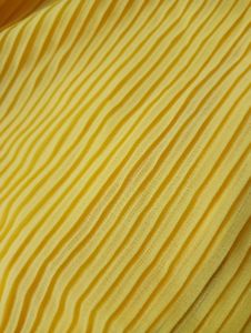 Elegant Pleated Palazzo 💛