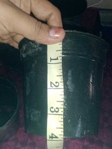 5 Plastic Pots- 3 Small 2 Very Smal