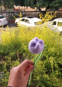 Crochet Tulip