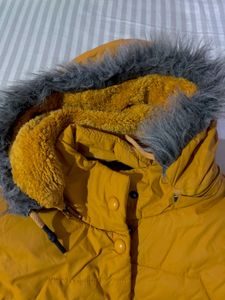 Yellow Winter Jacket (With Free Gift)