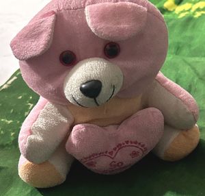 Pink Plush Dog Toy