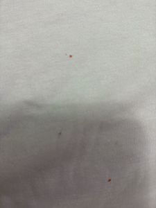 set of 2 casual Levi&#39;s Graphic Tee